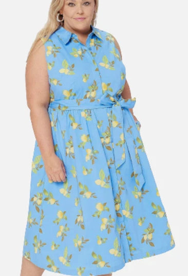 J Jason Wu Novelty LEMON Printed Shirt Dress with Belt Blue MULTI SIZES